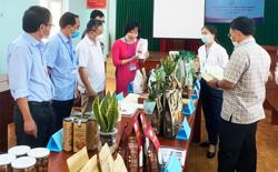 33 sản phẩm tham gia bình chọn sản phẩm công nghiệp nông thôn tiêu biểu