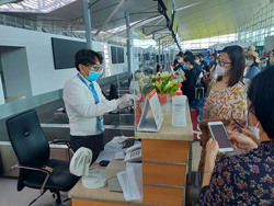 Hồi hộp mua vé máy bay Tết