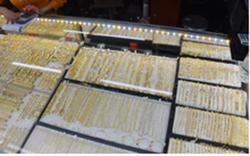 Giá vàng hôm nay 27-11: Giới đầu cơ “đánh lên” tranh thủ chốt lời