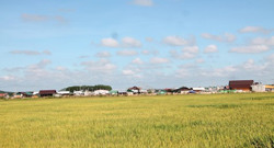 Sức sống mới nơi vùng đất mới (Kỳ 1)