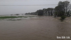 3.328 ha cây trồng các loại bị thiệt hại do mưa lũ