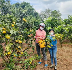 Phụ nữ xã Ea Nuôl giúp hội viên nghèo khởi nghiệp