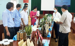 33 sản phẩm tham gia bình chọn sản phẩm công nghiệp nông thôn tiêu biểu