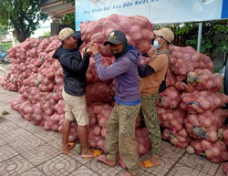 Huyện Ea Súp: Bí đỏ bị nhiễm bệnh, nông dân thất thu