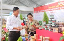 Phấn đấu đưa 10 sản phẩm chủ lực lên sàn thương mại điện tử