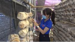 Khởi nghiệp của thanh niên ở vùng biên Ea Súp