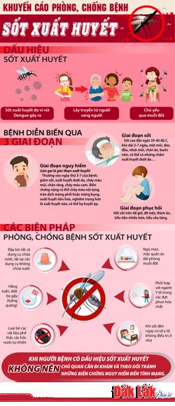 Khuyến cáo phòng, chống bệnh sốt xuất huyết