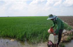 Để nông dân bớt lệ thuộc...