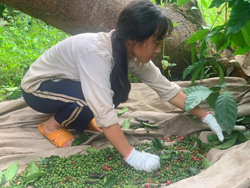 Nuôi ước mơ được tiếp tục đến trường