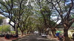 Thực hiện thí điểm công trình "Bích họa đường phố" tại thành phố Buôn Ma Thuột