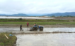 Đồng bào dân tộc thiểu số huyện Krông Pắc: Thay đổi nếp nghĩ, cách làm để giảm nghèo