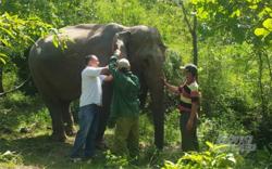 Ký kết hợp tác mô hình du lịch thân thiện với voi