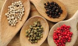 Giá tiêu hôm nay 16/12: Quay đầu giảm 500 - 1.000 đ/kg