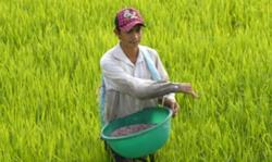 Bộ trưởng Lê Minh Hoan: 'Cơn bão' giá vật tư đầu vào gây ám ảnh