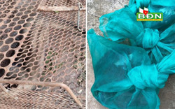 Bắt quả tang 3 đối tượng mua bán, nuôi nhốt động vật rừng trái phép