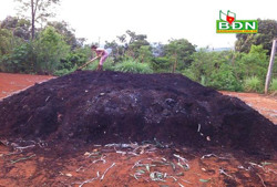 Dùng phế phẩm nông nghiệp làm phân - Lợi ích nhiều mặt