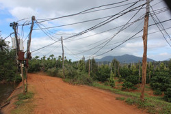 Tuyến đường điện không bảo đảm an toàn