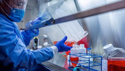 Địa phương nào để vaccine hết hạn, Giám đốc Sở phải chịu trách nhiệm