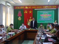 Phấn đấu trồng mới 1.817 ha rừng trong năm 2022