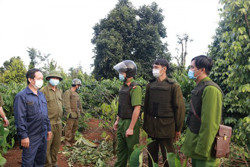 Đồng hành bảo vệ mùa thu hái cà phê