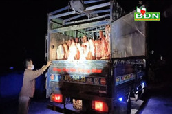 Liên tiếp phát hiện các vụ vi phạm vệ sinh an toàn thực phẩm và môi trường