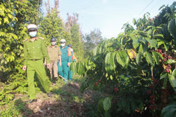 Xã Ea Kao bảo đảm an ninh trật tự mùa thu hoạch cà phê