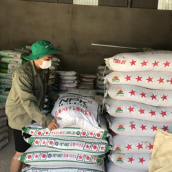 Giá phân bón tăng đột biến, nông dân lao đao