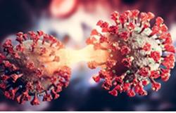 Biến thể Omicron Việt Nam vừa ghi nhận nguy hiểm thế nào?