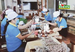 Cơ sở sản xuất mắc ca "chạy đua" phục vụ dịp Tết