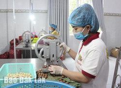 Toàn tỉnh có 15 sản phẩm công nghiệp nông thôn tiêu biểu