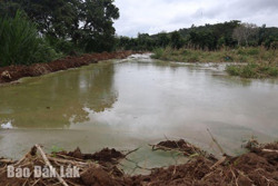 Yêu cầu chấm dứt vận chuyển và đổ bùn thải tại khu vực dân cư tại xã Dray Sáp