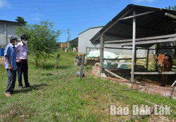 Giảm lãi suất vay vốn tín dụng chính sách