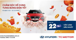CHĂM SÓC XẾ CƯNG – TƯNG BỪNG ĐÓN TẾT 