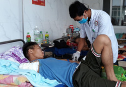 Liên tiếp ghi nhận các trường hợp bị rắn độc cắn