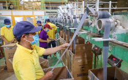 Từng bước phục hồi, tạo đà tăng trưởng kinh tế