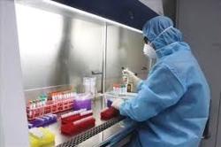 Việt Nam phát hiện chủng virus biến thể mới SARS-CoV-2 của Nam Phi