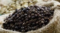 Giá tiêu hôm nay 17/2 (Mùng 6 Tết): Trong nước đi ngang