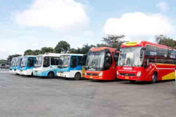 Chủ động phương án phục vụ hành khách đi lại dịp Tết