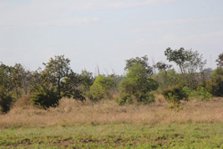 Huyện Ea Súp siết chặt công tác quản lý, bảo vệ rừng