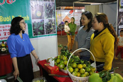 Khi giáo viên sinh học trồng cây ăn quả