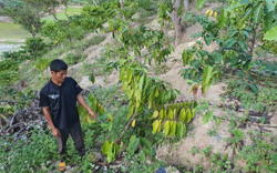 Xã Yang Mao (Krông Bông): Nhiều khó khăn trong xây dựng nông thôn mới