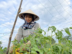 Huyện Cư M'gar: Lan tỏa phong trào nông dân sản xuất kinh doanh giỏi