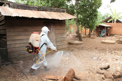 Đẩy mạnh công tác kiểm soát bệnh cúm gia cầm