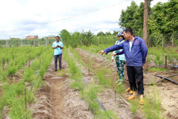 Nông dân Ea Bar phát triển các mô hình kinh tế tập thể