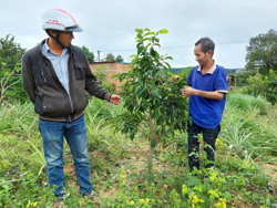 Nỗ lực giảm nghèo ở Ea Uy