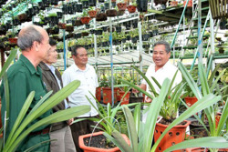 Hội Cựu chiến binh huyện Krông Pắc: Nhiều hoạt động thiết thực hỗ trợ đồng đội