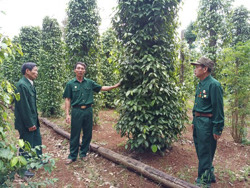 Lan tỏa phong trào thi đua "Cựu chiến binh gương mẫu"