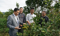 Huyện Krông Bông: Nỗ lực vượt khó để phát triển kinh tế