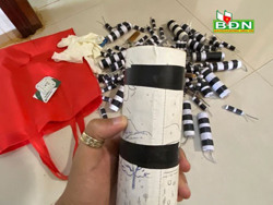 Bắt, xử lý 1 đối tượng ở Đắk Mil sản xuất pháo trái phép