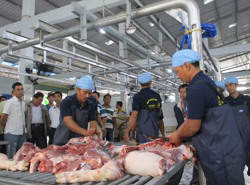 Heo hơi liên tục rớt giá, giò chả đua nhau khuyến mãi